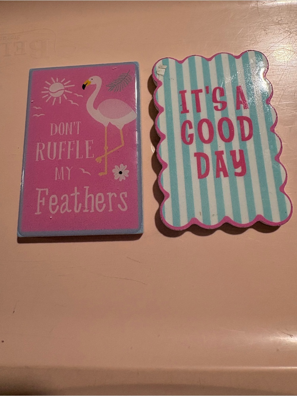 Pink & Teal Inspirational Bird Magnet Set - Decorative Home Accents